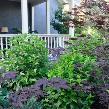 Urban Prairie- German Village