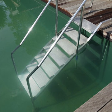 Swimmingteich Biotop
