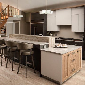 Contrasting Contemporary Kitchen