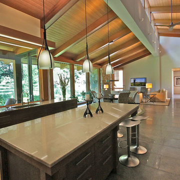 LEED Platinum Certified Home - Complete Lighting Control