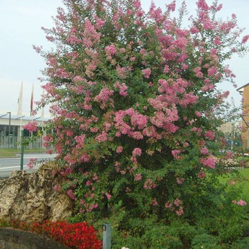 giardini