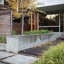 Feature Walls