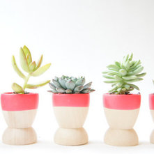 Modern Indoor Pots And Planters by Etsy