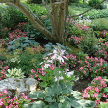 Flowers that inspire