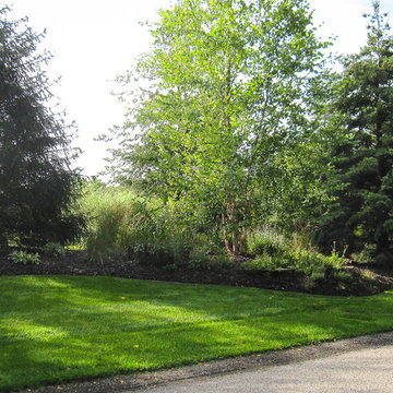 Front Border Plantings