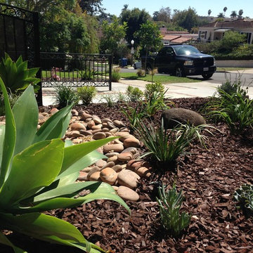 Front Yards