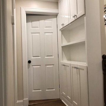 Dominion Built-in Model