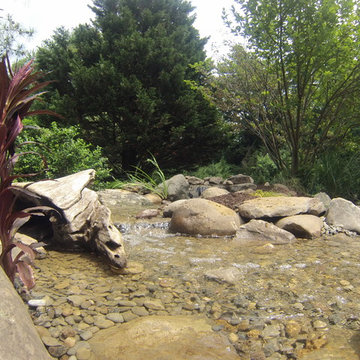 Pond Renovation