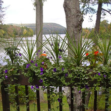 container gardening
