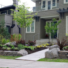 front yard