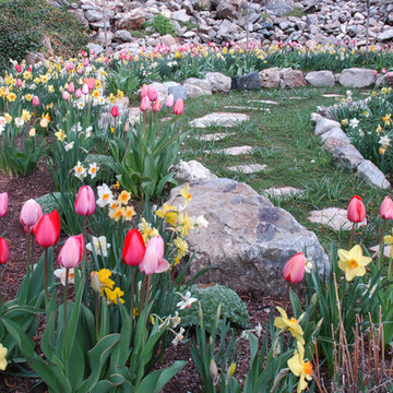 Unforgettable Bulb Display