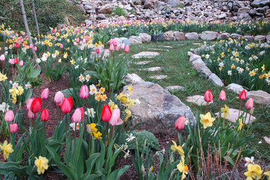 Inspiration for a contemporary landscaping in Salt Lake City.