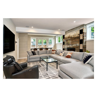 Basement Living Room - Modern - Basement - Chicago - by TZS Design
