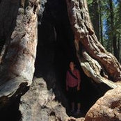 Cara Judd's photo