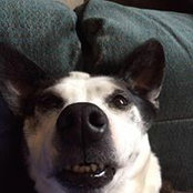 Kara Terry's photo
