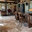 Seven Home Design