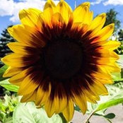 Michael Kost's photo