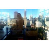Page Turner's photo
