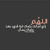Mohamed Elsayed's photo