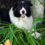 Rhoda Rooney's photo