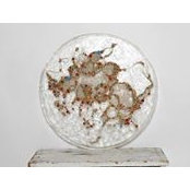 Dale Eastman's photo