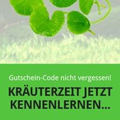 Michael Gutsche's photo