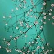 Sofiya Sadique's photo