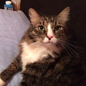 Judy Young's photo