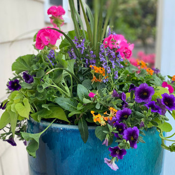 Summer Containers