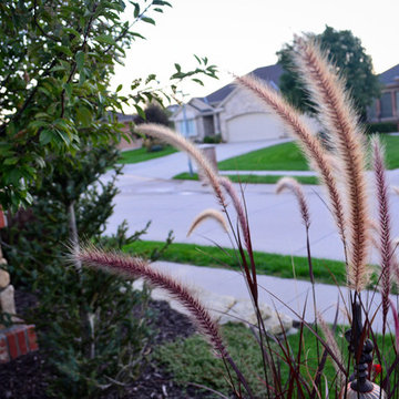 Corner lot Courtyard