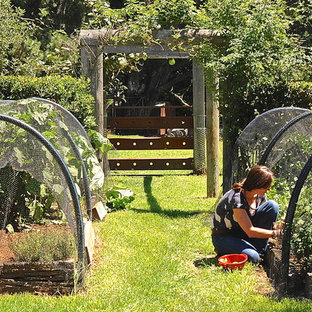 Design ideas for a country full sun garden in Adelaide with a vegetable garden.