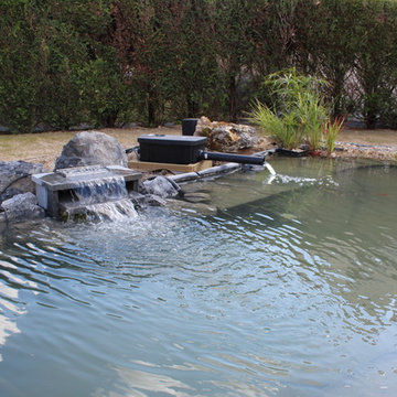 Bassin et allée