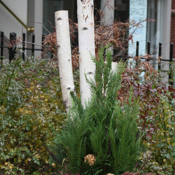 Seasonal Display