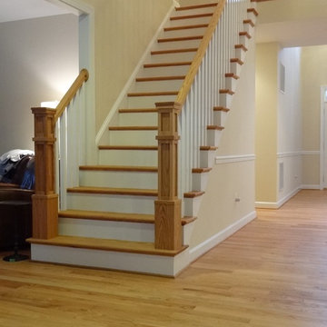 Steps & Handrail