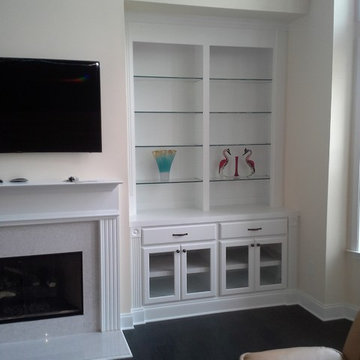 Fireplace Built-in with glass shelves and doors