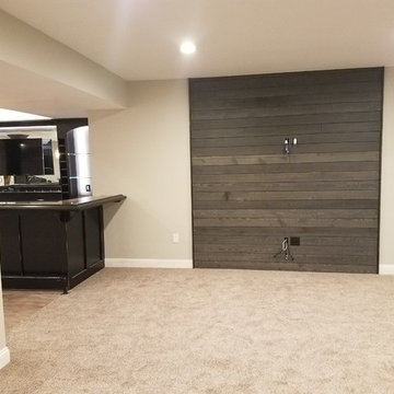Basement Remodel