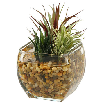 Aloe and Easter Grass in Glass Cube