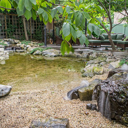 Backyard Pond with Beach Style Entry (Brooklyn, NY) - Outdoor Fountains And Ponds