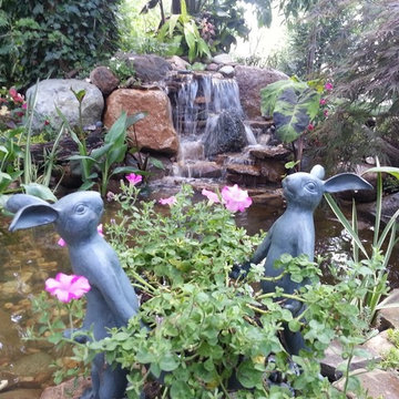 Water Features and Ponds