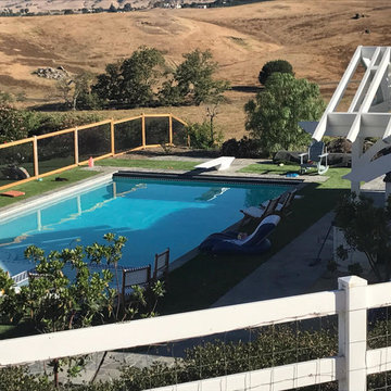 Edna Valley Backyard Renovation and Swimming Pool Addition