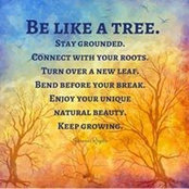 Sharmaine Lin's photo