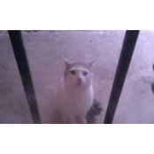 Susan Taylor's photo