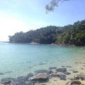 Chew Alvin's photo