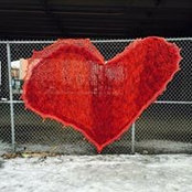Lynn Beatty's photo
