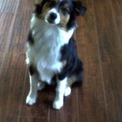 Janis Runyon's photo