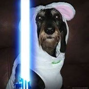 Shawn Lancaster's photo