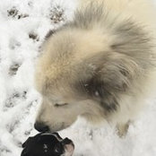rachel munoz's photo