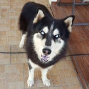 Melissa Bartoo's photo