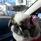 Mary Kamm's photo