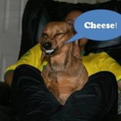 Patricia Conrade's photo